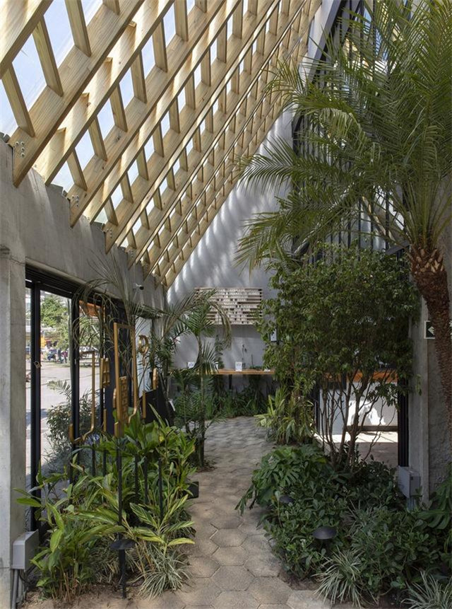 小小的室内绿植摆放设计 到底能带来怎样的魔力?