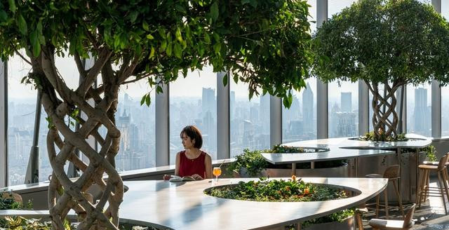 小小的室内绿植摆放设计 到底能带来怎样的魔力?