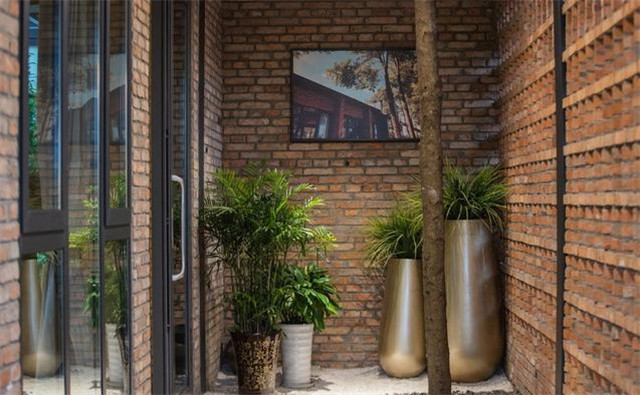 小小的室内绿植摆放设计 到底能带来怎样的魔力?