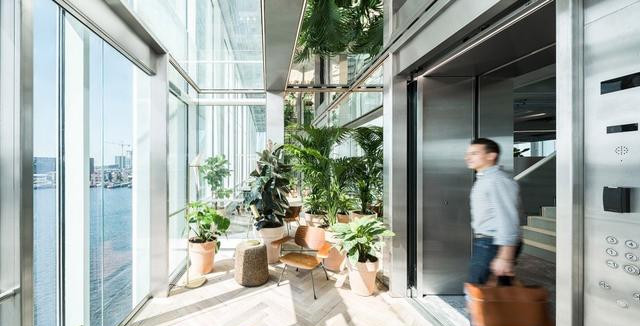 小小的室内绿植摆放设计 到底能带来怎样的魔力?