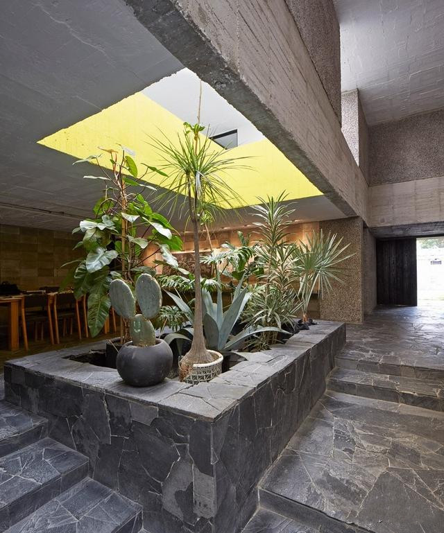 小小的室内绿植摆放设计 到底能带来怎样的魔力?