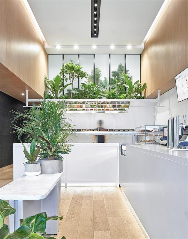 小小的室内绿植摆放设计 到底能带来怎样的魔力?